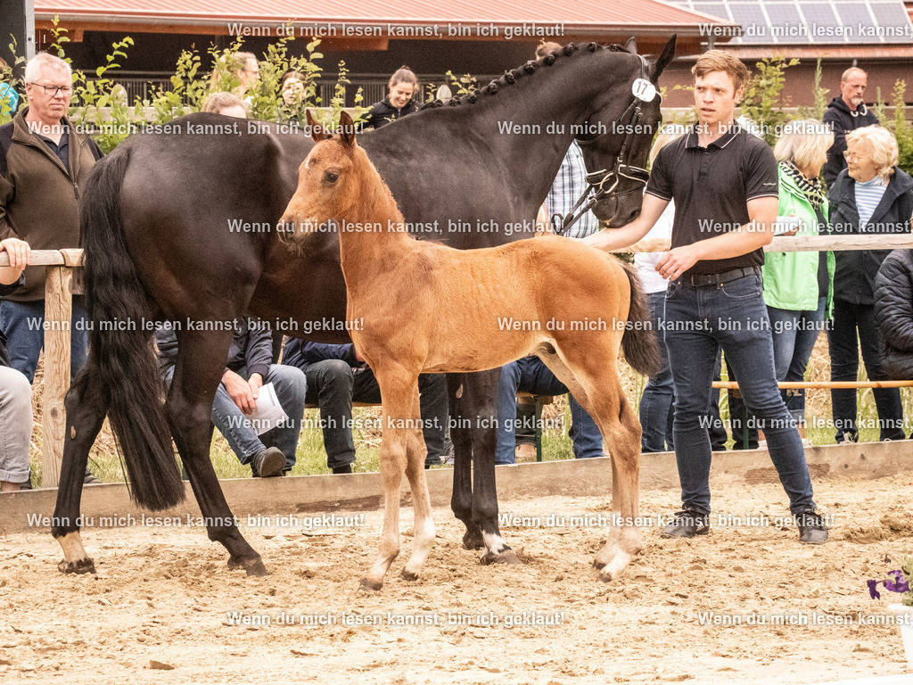 A10I0967 | photographylinaismer - Realisiert mit Pictrs.com