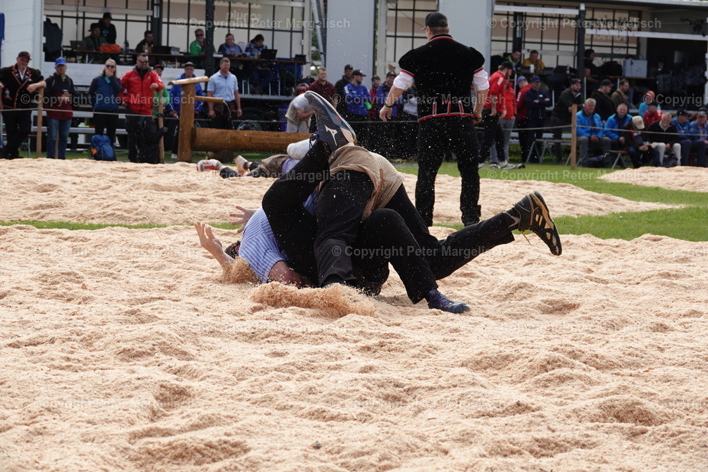 DSC00668 | Schwingen - Realisiert mit Pictrs.com