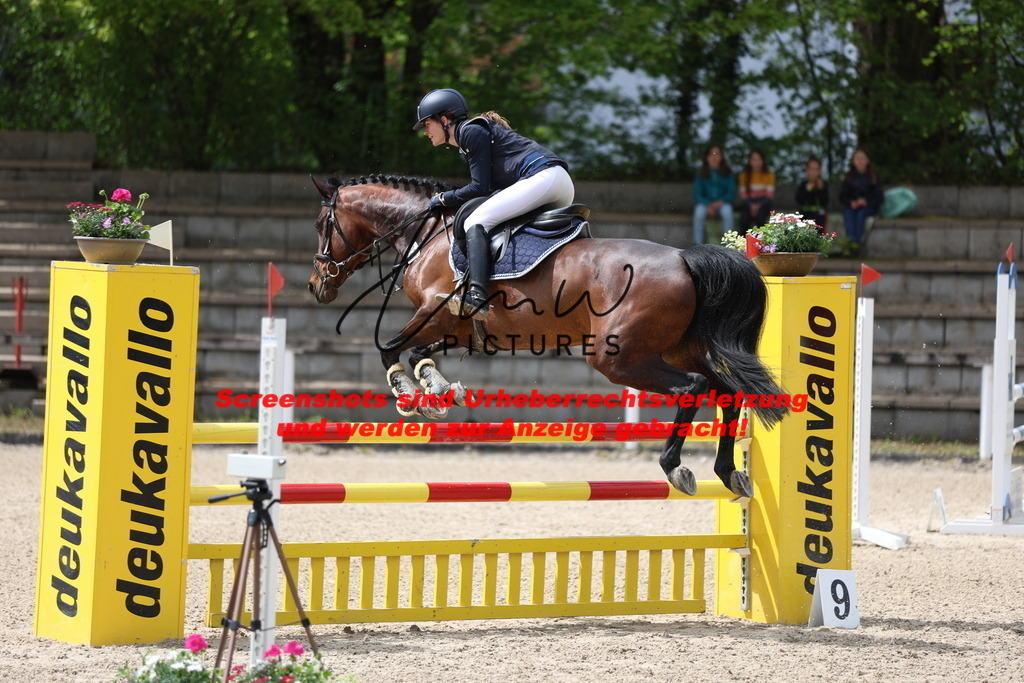 A40A1744 | lmwpictures - Realisiert mit Pictrs.com