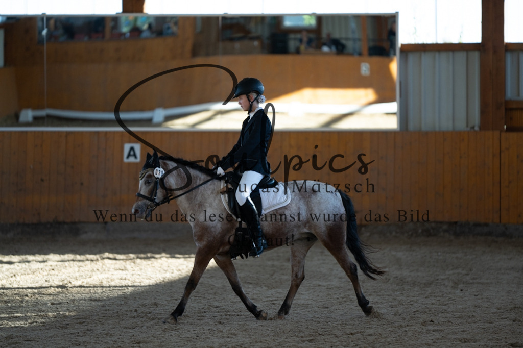 A7V01678 | Pferdefotograf