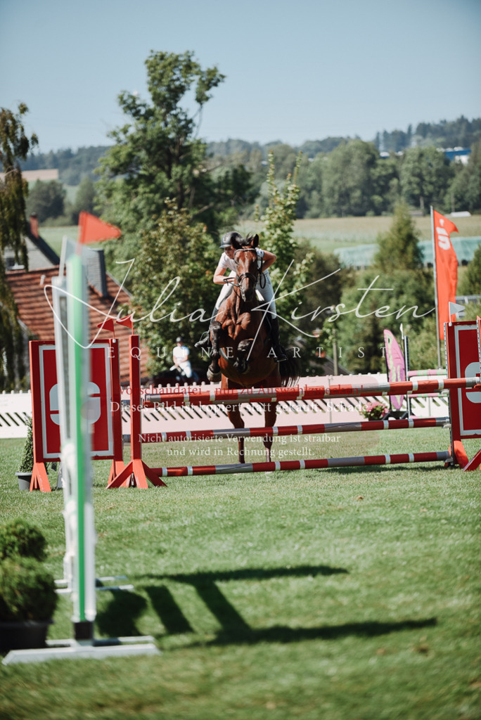 DSC_3081 | Pferde- und Turnierfotografie in Westsachsen. Pferdeportraits, Auftragszeichnungen und intuitive Kunst.