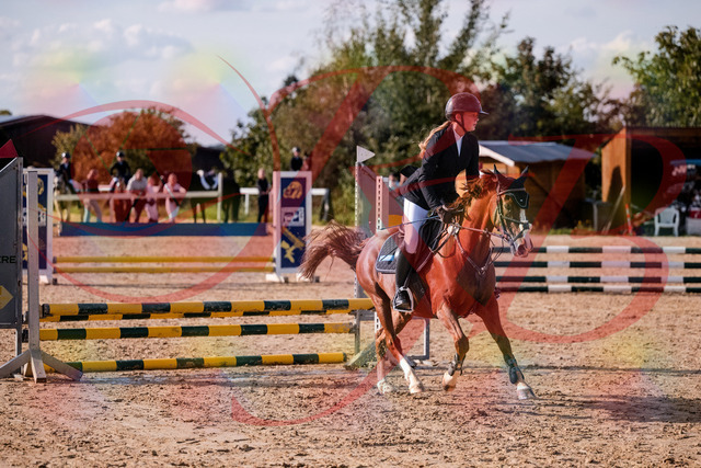 2026_10_03_Siefer-Hof_155751_Z81_77511817 | Professionelle Reitsport-, Turnier- und Eventfotografie von Robert Broda. Galerien mit ausgewählten und bearbeiteten Bildern direkt online ansehen und bestellen.