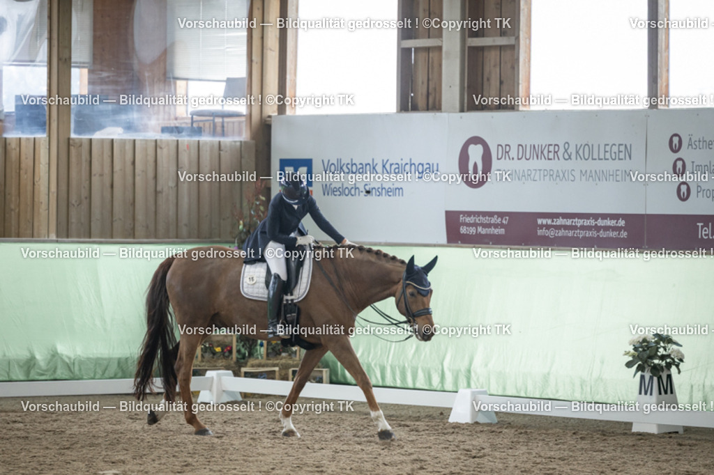 _D5A6172 | Emotionale Pferde- & People-Fotografie rund um Heidelberg, Leimen & Umgebung. Natürliche Fotos von Pferd, Mensch & Familie. Jetzt Termin sichern!