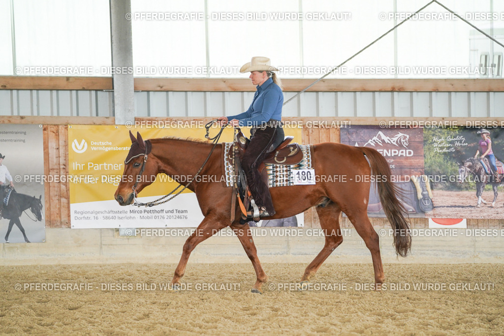 DSC01667 | Pferdegrafie