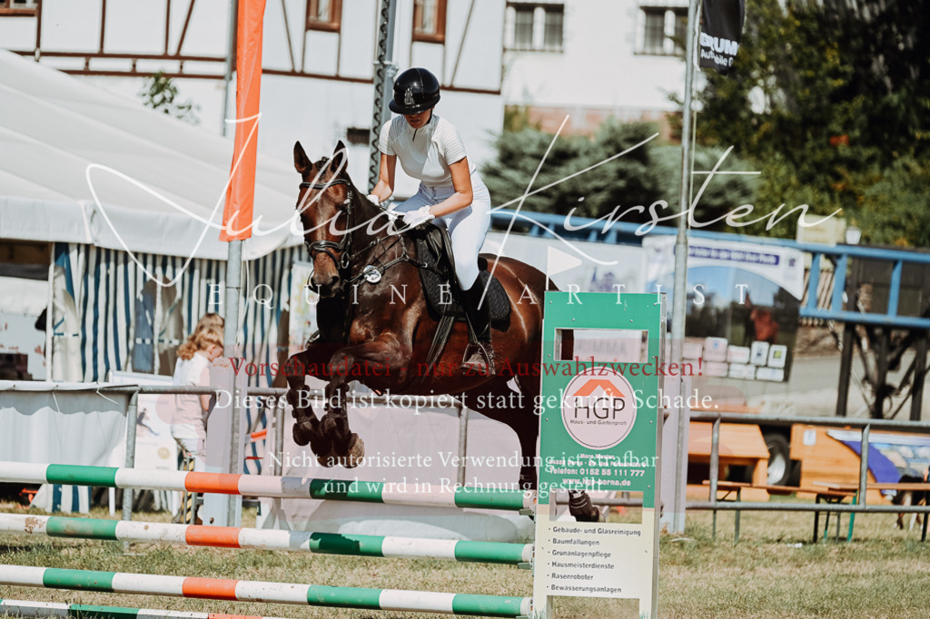 DSC_9996 | Pferde- und Turnierfotografie in Westsachsen. Pferdeportraits, Auftragszeichnungen und intuitive Kunst.