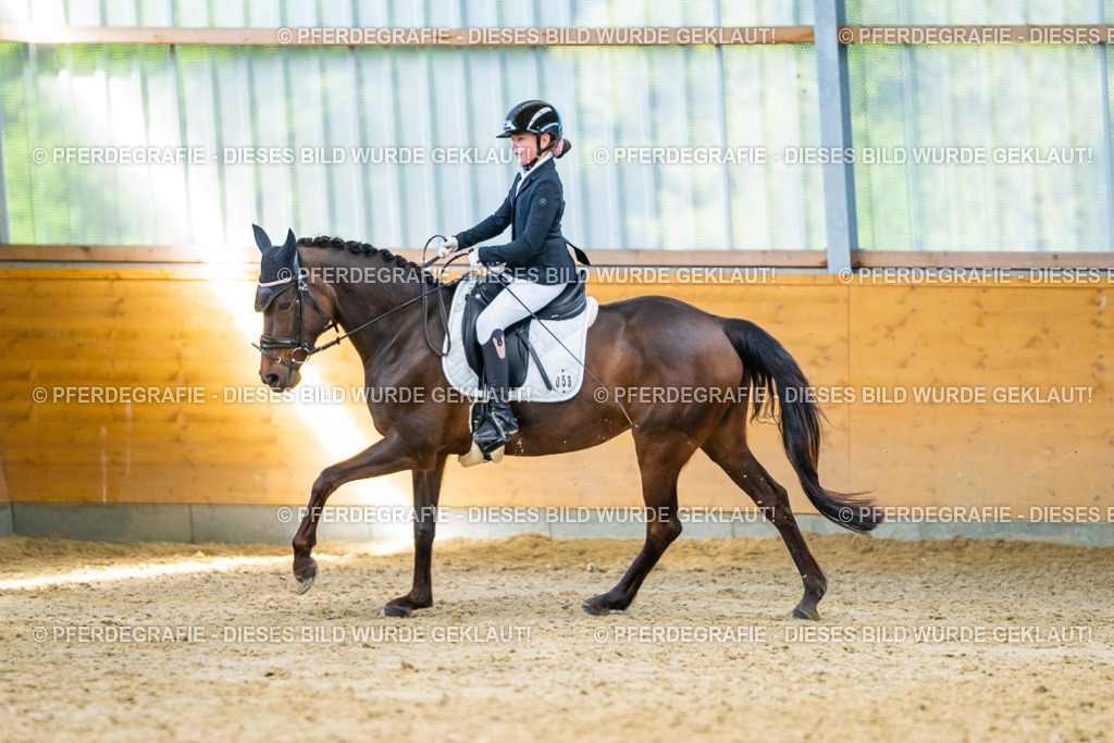 DSC07319 | Pferdegrafie