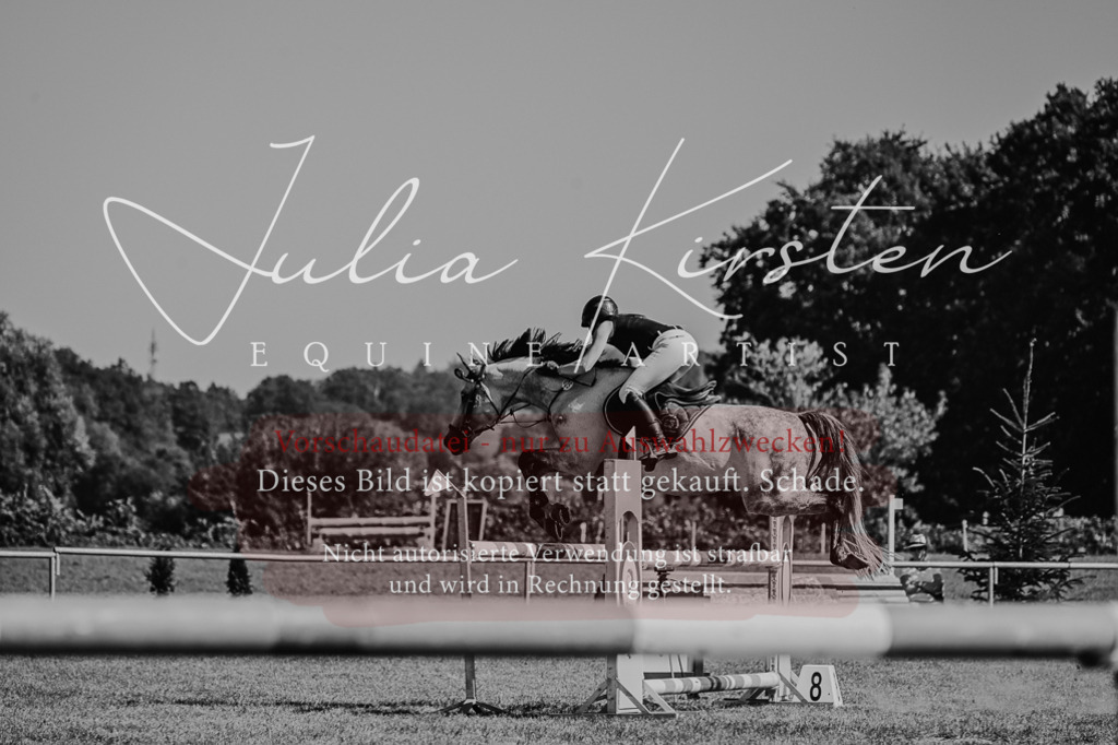 DSC_6363 | Pferde- und Turnierfotografie in Westsachsen. Pferdeportraits, Auftragszeichnungen und intuitive Kunst.
