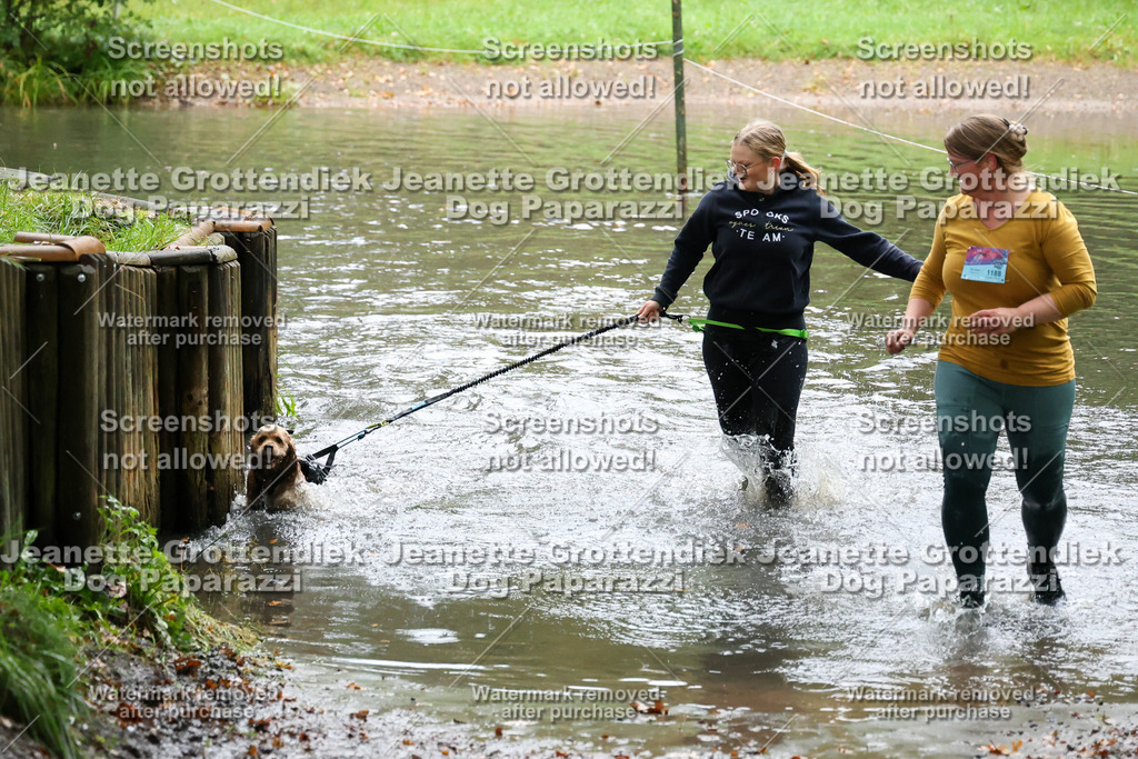 Dog Paparazzi -  SD1026-8455 | Dog Paparazzi Jeanette Grottendiek Fotografie & Videografie - Realisiert mit Pictrs.com