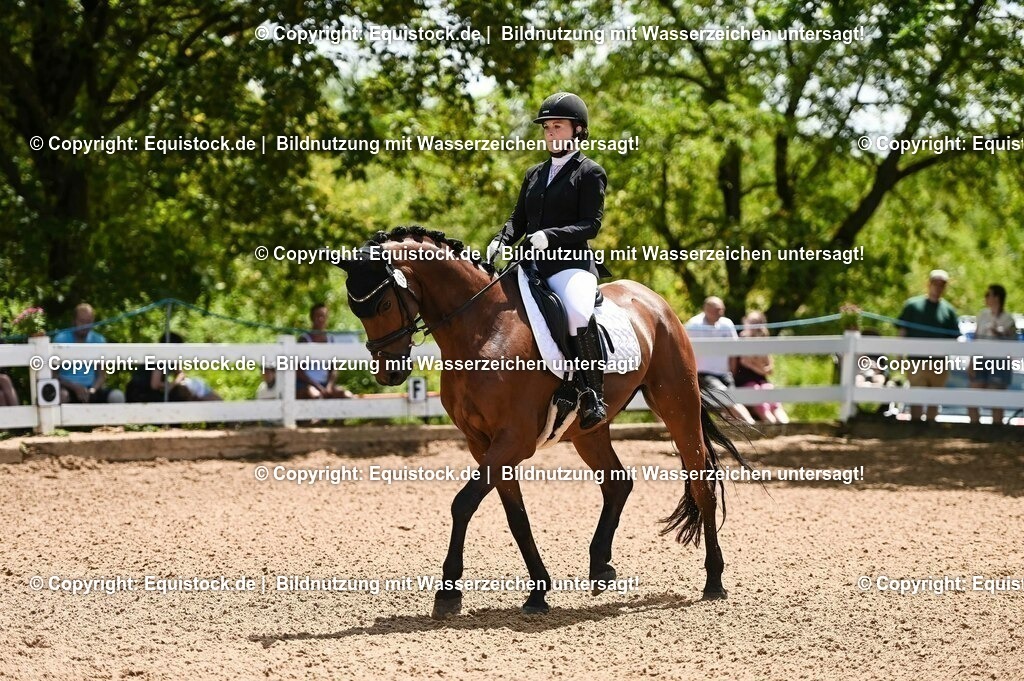 20230716_03_Dressurprfg. Kl.L - Tr._0077 | equistock