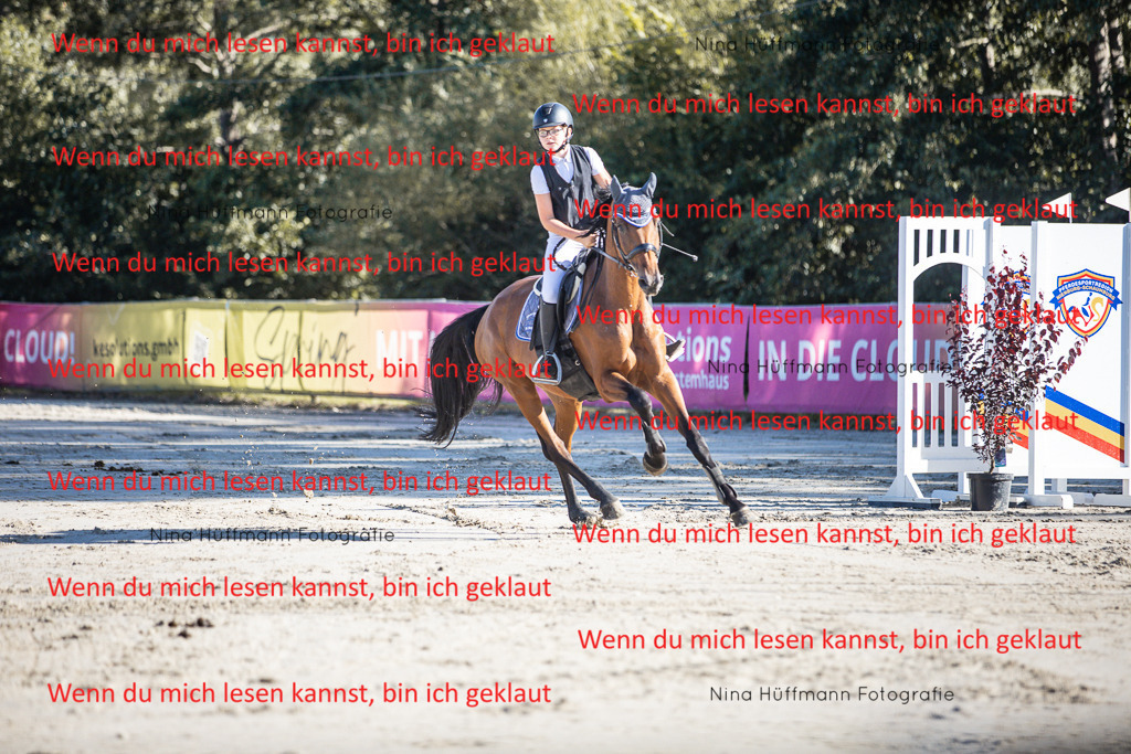 BK1A7396 | Turnierbilder Turnierfotos Nina Hüffmann Turnierfotografie Pferdefotografie Tierzeichnung Haustierzeichnung Pferdezeichnung Hundezeichnung Videograf  - Realisiert mit Pictrs.com