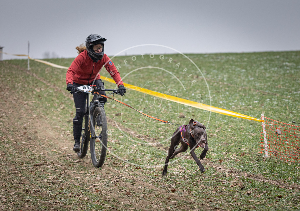 Pfotenfotografie_DV3A1089 | Hundefotografie, Tierfotograf, Pfotenfotografie, Fotoshooting Hund, Hunde Portrait, Hundesport, Hundeportraits, Heideshooting, Hunde, Sportfotograf, Hundefotograf, Turnierhundsport, THS,  - Realisiert mit Pictrs.com