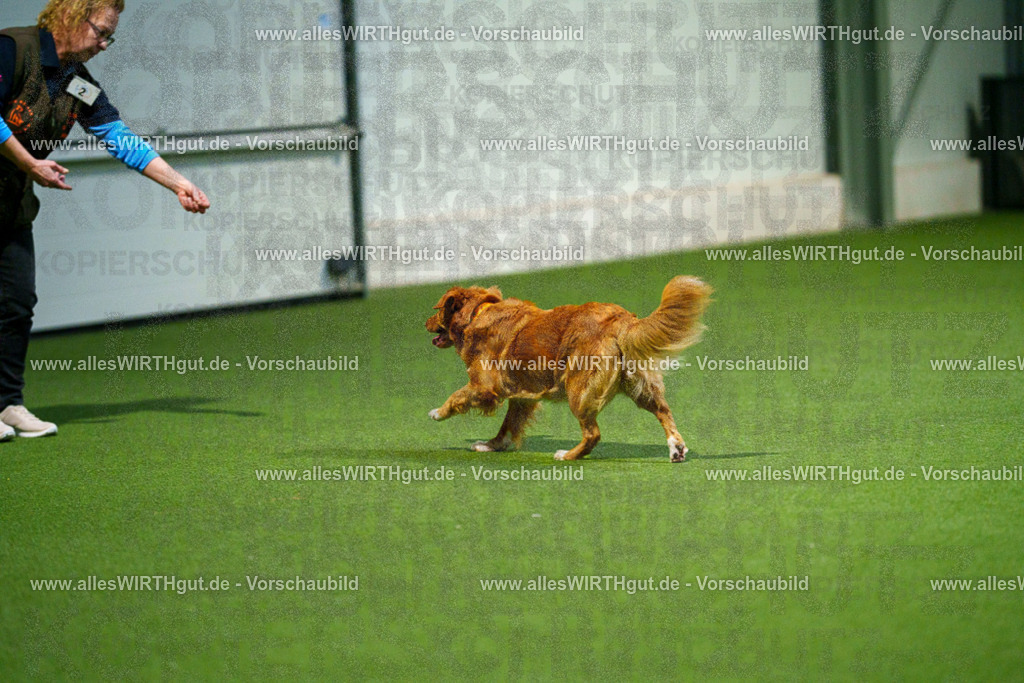 7R509663 | Professionelle Tierfotografie in Mönchengladbach von Daniel Wirth (allesWIRTHgut). Liebevolle & natürliche Bilder von Hunden & Katzen für unvergessliche Erinnerungen.