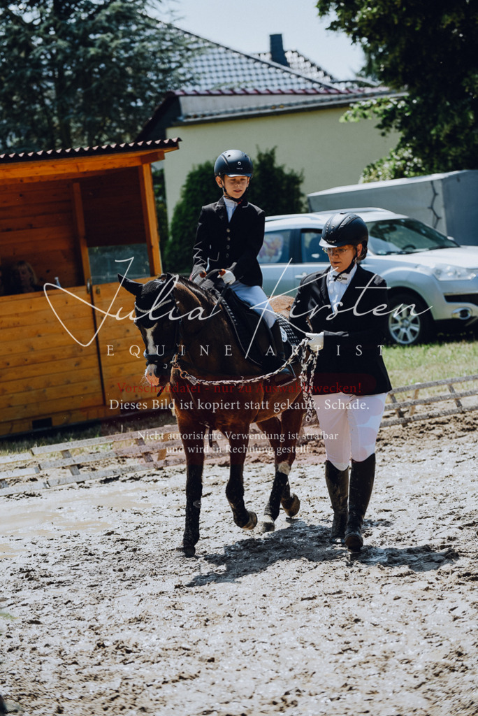 DSC_2269 | Pferde- und Turnierfotografie in Westsachsen. Pferdeportraits, Auftragszeichnungen und intuitive Kunst.