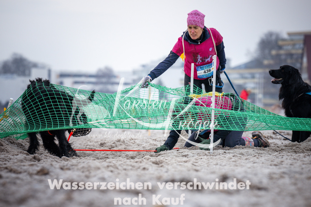 1218_ZZ93271 | kk-dogfotos