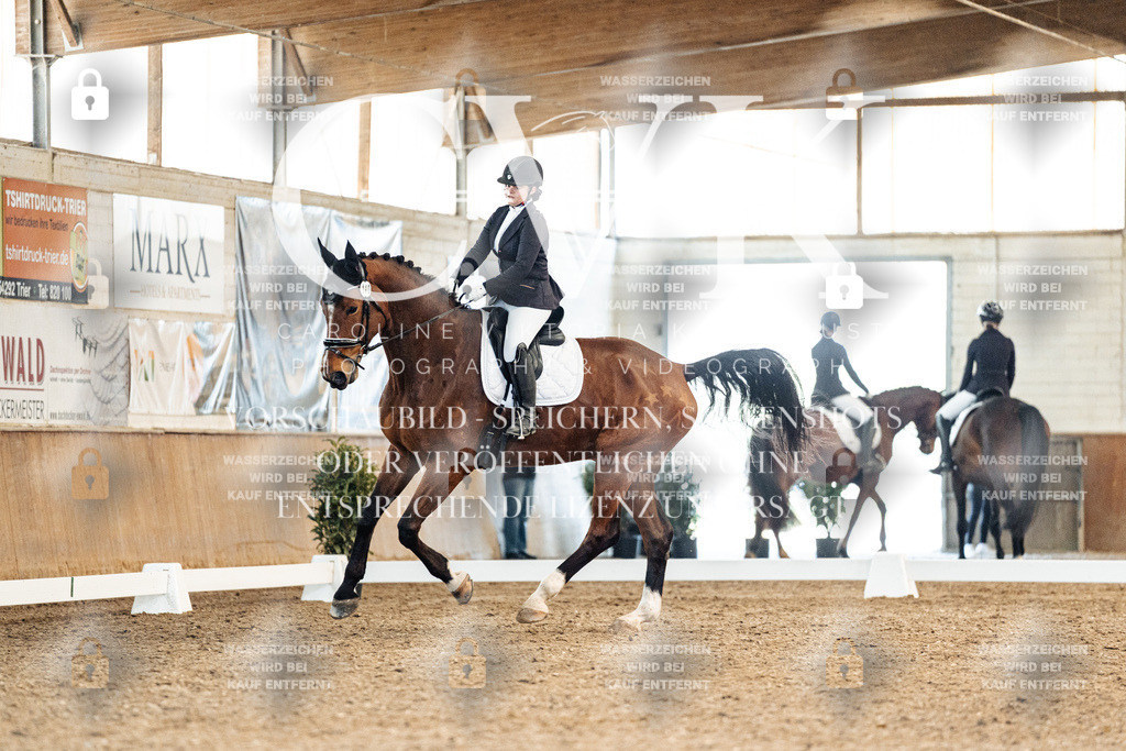 CK909161 | Turnierfotografie Pferdefotografie Trier Rheinland-Pfalz Pferdesport Reitsport Tierfotografie Sportfotografie Pferdevideo Pferdevideografie Equestrianvideography equestrianphotography  - Realisiert mit Pictrs.com