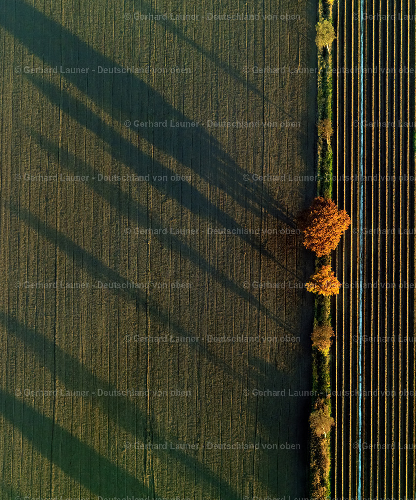 9300148 | herbstliche Feld-Baumstrukturen bei Gerolsbach in Bayer im Landkreis Pfaffenhofen an der Ilm