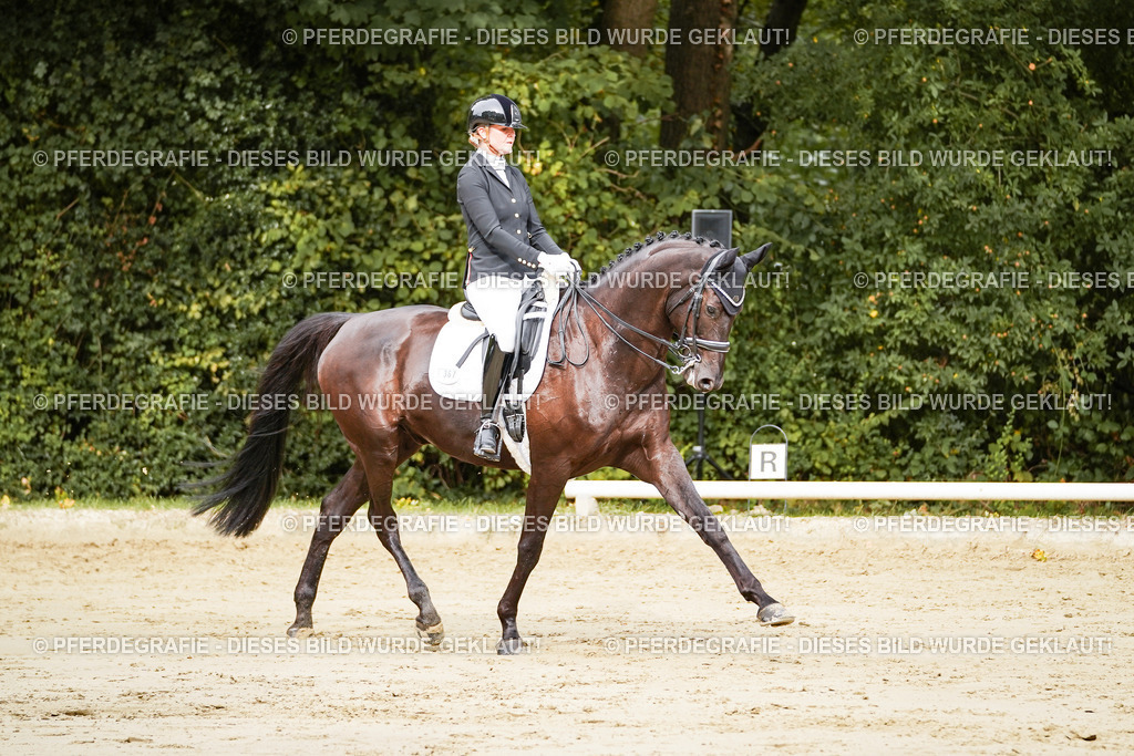 DSC02198 | Pferdegrafie