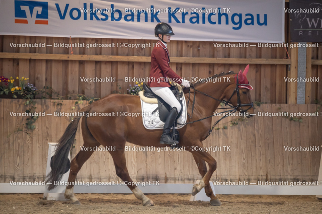 _D5A2499 | Emotionale Pferde- & People-Fotografie rund um Heidelberg, Leimen & Umgebung. Natürliche Fotos von Pferd, Mensch & Familie. Jetzt Termin sichern!