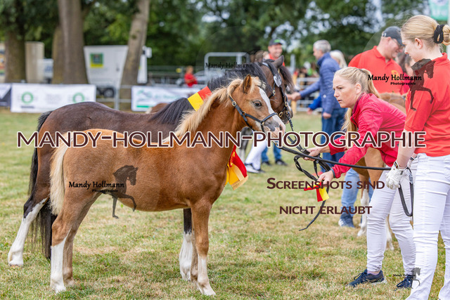 LTN 1 (626 von 918) | mandyhollmannphotographie