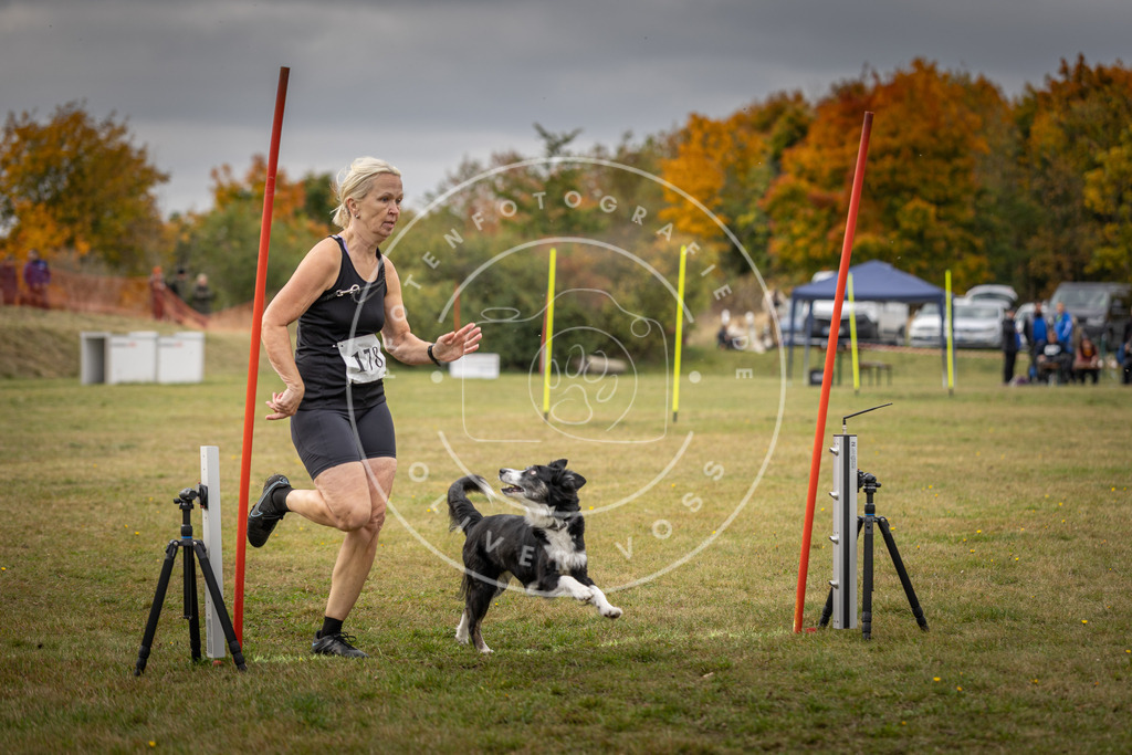 Pfotenfotografie_DV3A5898 | Hundefotografie, Tierfotograf, Pfotenfotografie, Fotoshooting Hund, Hunde Portrait, Hundesport, Hundeportraits, Heideshooting, Hunde, Sportfotograf, Hundefotograf, Turnierhundsport, THS,  - Realisiert mit Pictrs.com
