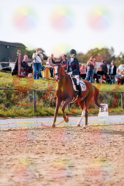 2026_10_03_Siefer-Hof_133126_Z81_85340675 | Professionelle Reitsport-, Turnier- und Eventfotografie von Robert Broda. Galerien mit ausgewählten und bearbeiteten Bildern direkt online ansehen und bestellen.