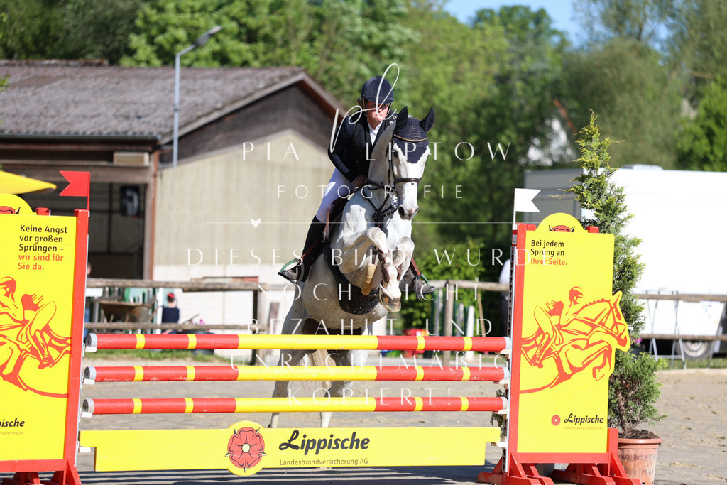 IMGS6019 | pl-fotografie