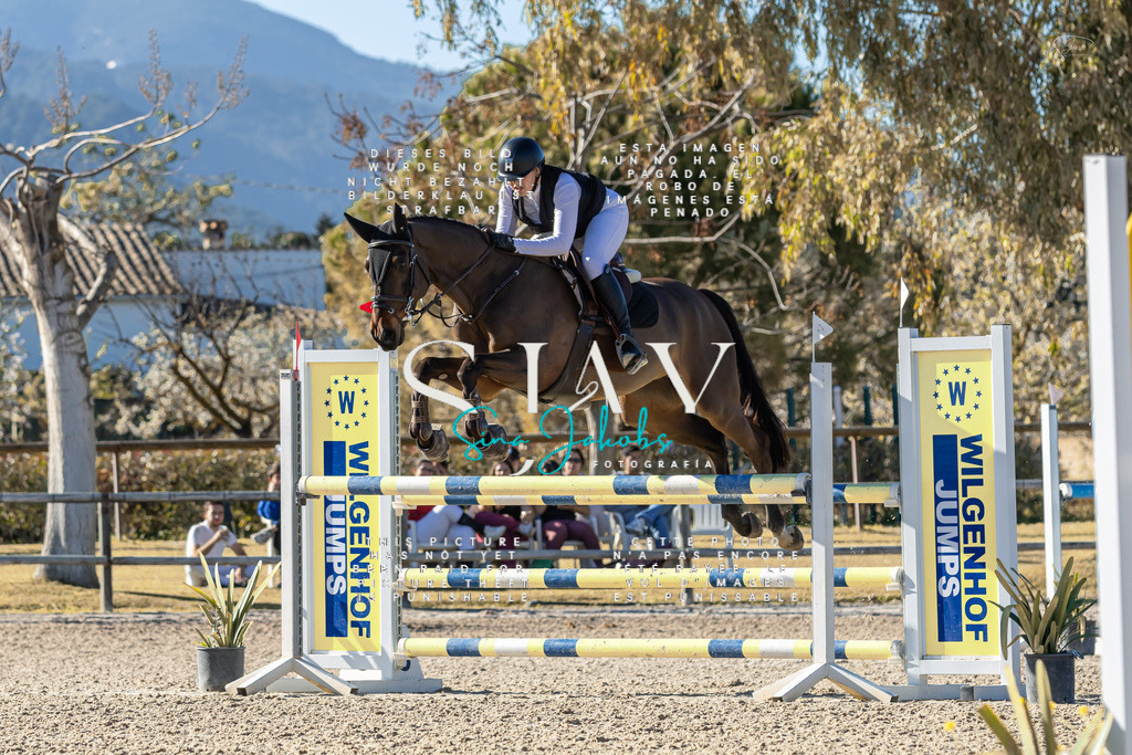 IMG_1728 | s-jay-photography - Realisiert mit Pictrs.com