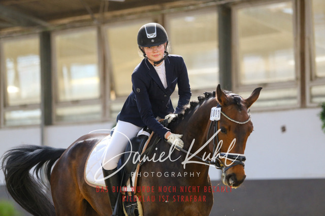 IMG_2917 | Turniersportfotografie; Pferdefotografie; Dressurfotografie