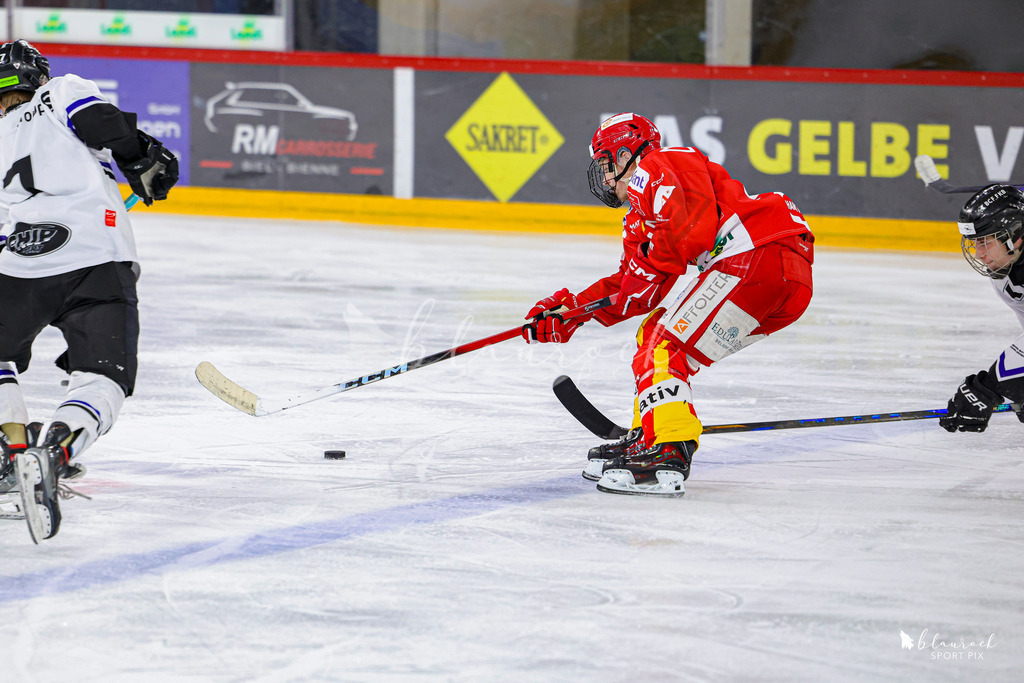 EHCB Spirit vs HCFG_wb-8324 | Sportbilder, Sportfotograf, Hochzeits- und Eventfotografin, Flugshows, Portraits und Tiershooting, Aviation, Downhill, Nationalleague, Swissleague, International