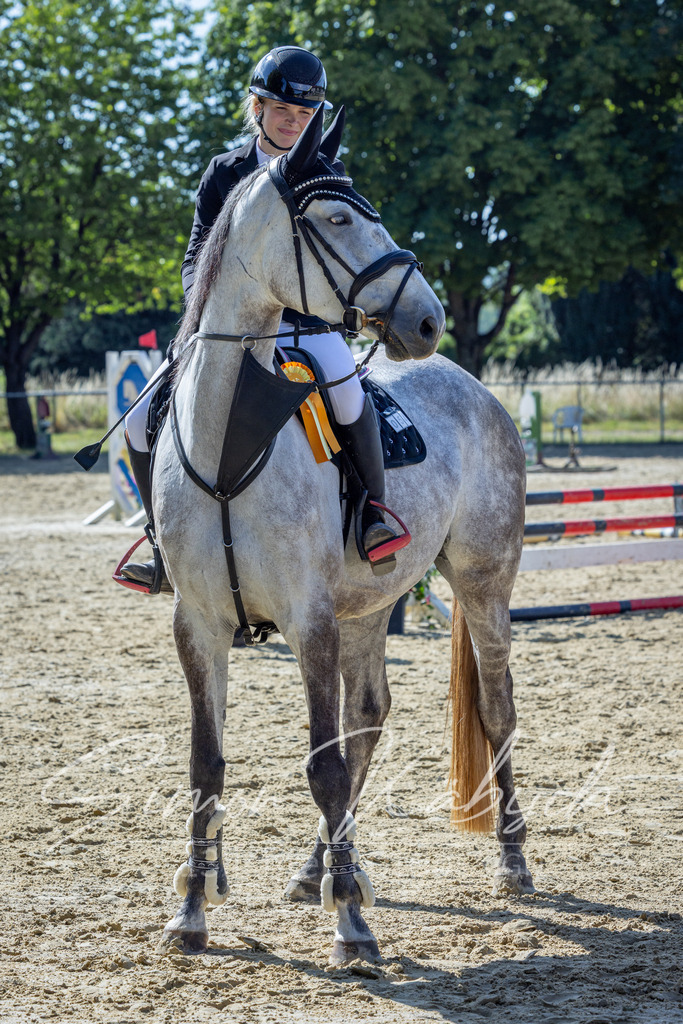 20260704-_3LI7279 | Tierfotografie Pferde, Hunde, Katzen, Haustiere.
Turnierfotografie Reitturniere, Reiten, Springreiten, Dressur in Hanau, dem Main-Kinzig-Kreis und dem Rhein-Main- Gebiet um Frankfurt