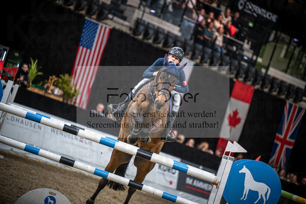 DOS_2922 | Entdecke hochwertige Reitturnierfotos von Foto Oger. Professionell, emotional und authentisch – jetzt Lieblingsmomente im Shop bestellen.Deutschlandweite Turnierfotografie. - Realisiert mit Pictrs.com