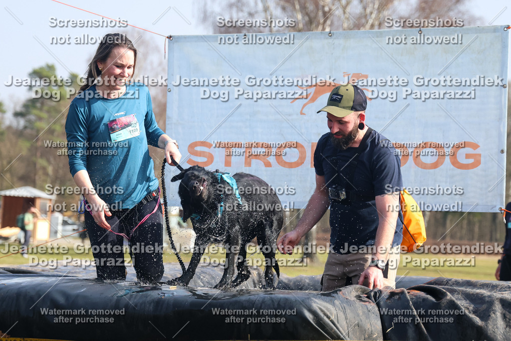 Dog Paparazzi - Strongdog North Mrz26-1702 | Dog Paparazzi Jeanette Grottendiek Fotografie & Videografie - Realisiert mit Pictrs.com