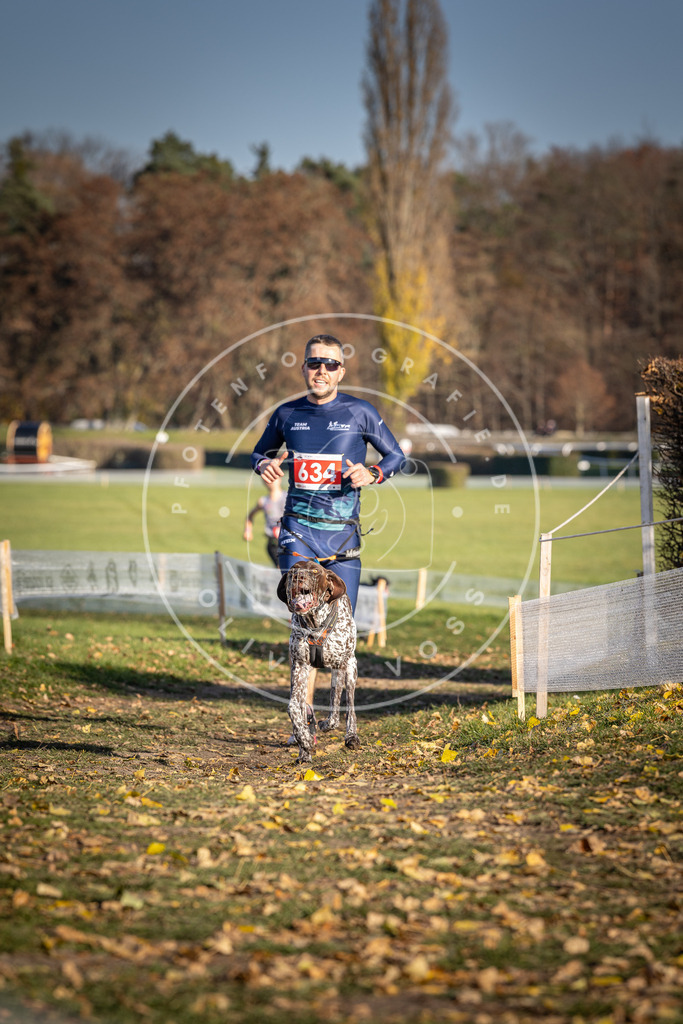 CaniXpix_DV3A0180 | Hundefotografie, Tierfotograf, Pfotenfotografie, Fotoshooting Hund, Hunde Portrait, Hundesport, Hundeportraits, Heideshooting, Hunde, Sportfotograf, Hundefotograf, Turnierhundsport, THS,  - Realisiert mit Pictrs.com