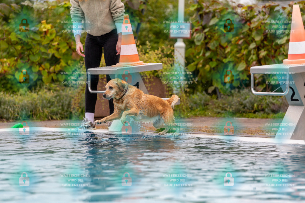 _HP_6124_1000o | HetPix, HetPix Fotodesign, Fotografie, Fotodesign, Webshop, Sportfotografie, Portraitfotografie, Onlineshop, Sportfotografie, Polch, Motorsportfotografie, Eventfotografie