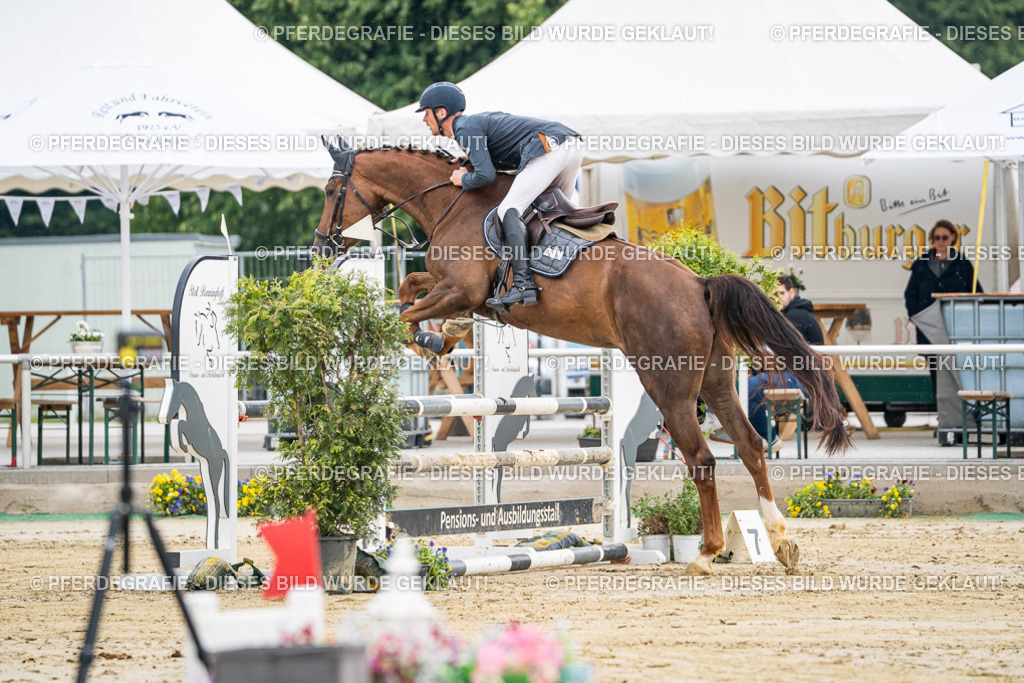 DSC09342 | Pferdegrafie