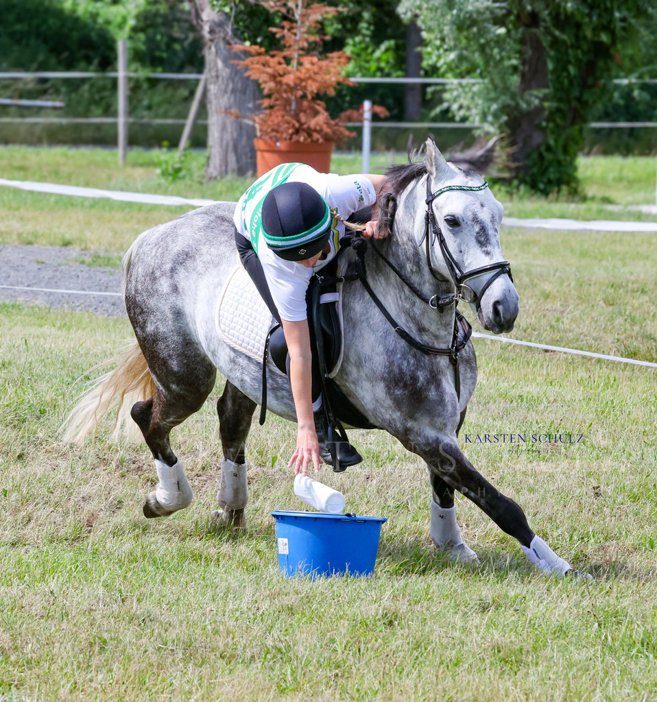 1B3A4353 | Reitsport Reiten