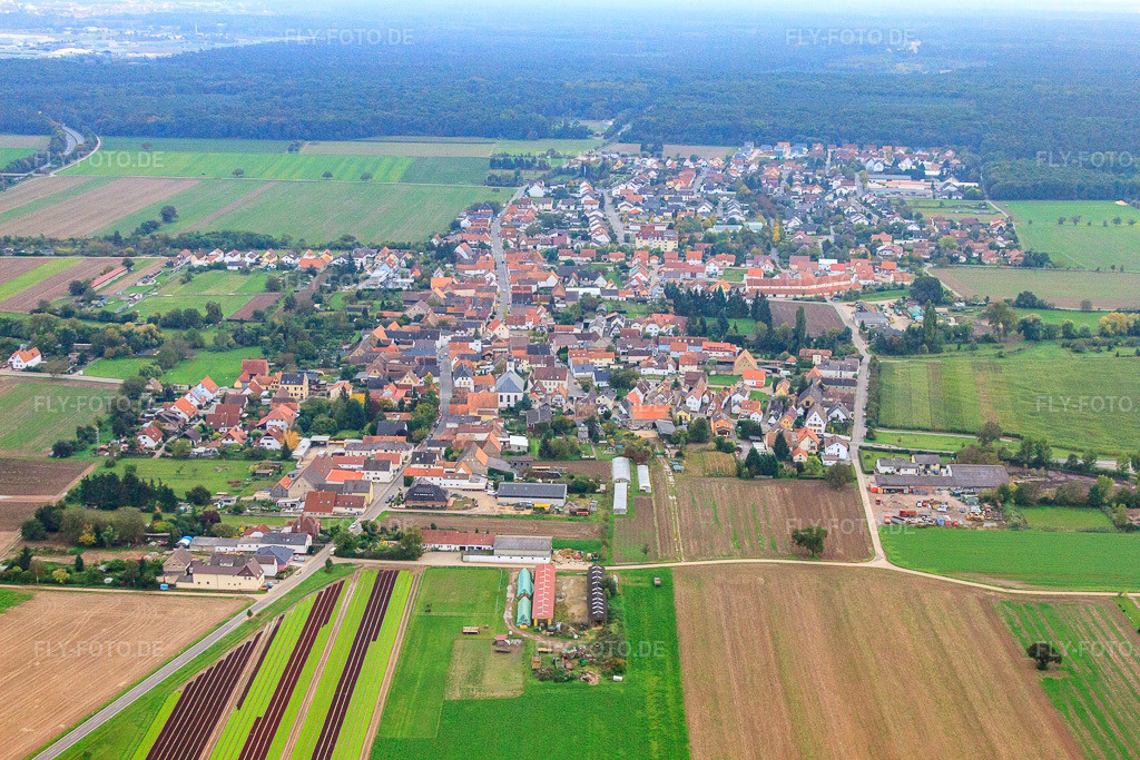 Luftbild: Ortsansicht von Norden in Westheim im Bundesland Rheinland-Pfalz in Deutschland. Foto: IMG_60125.jpg vom 08.10.2013 durch Werner Riehm/FLY-FOTO.de