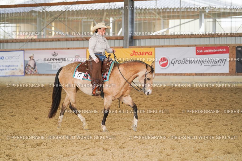 DSC01822 | Pferdegrafie