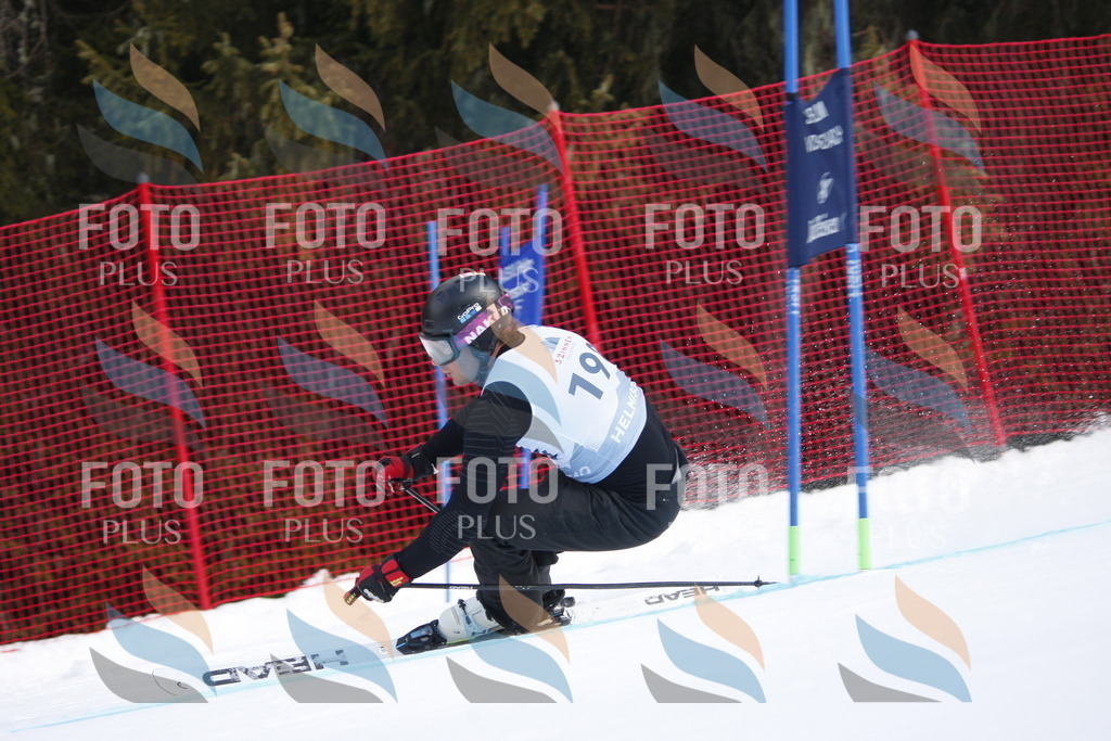 D8016 | holidayphoto