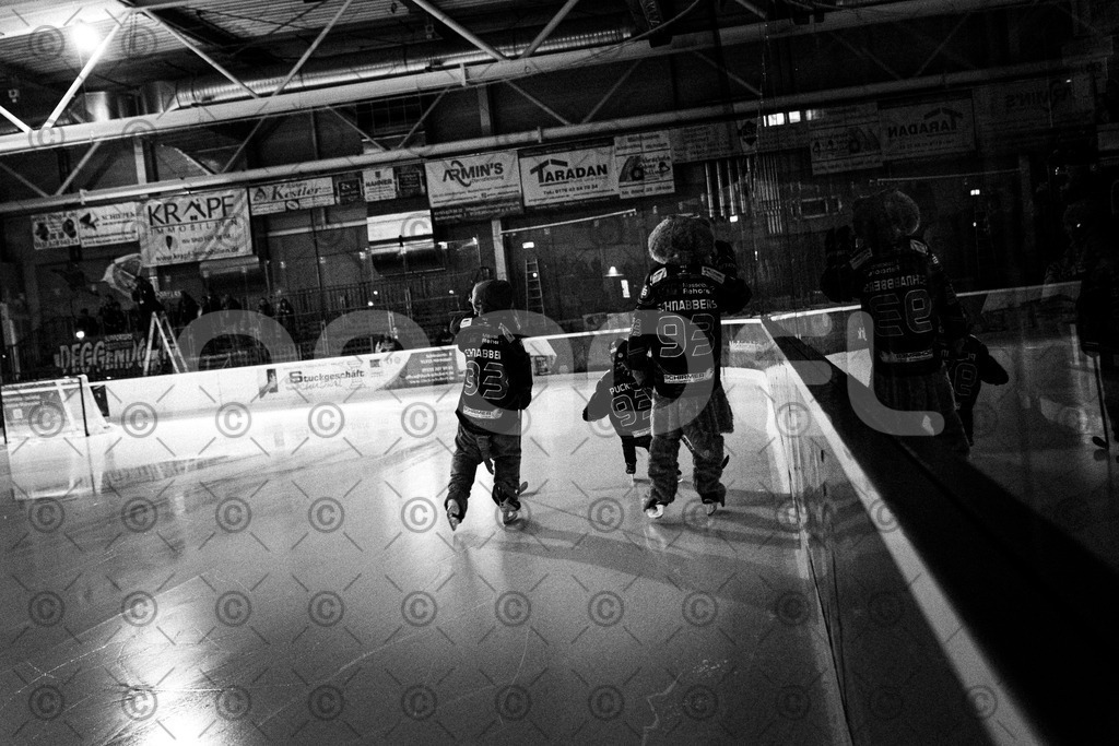 Alligators_vs_Deggendorf_30_11_2025-010 | Höchstadt Alligators Fotogalerie: Eishockey-Action aus Franken. Professionelle Spielfotos, Portraits & Stadionbilder zum Download. Jetzt entdecken! - Realisiert mit Pictrs.com