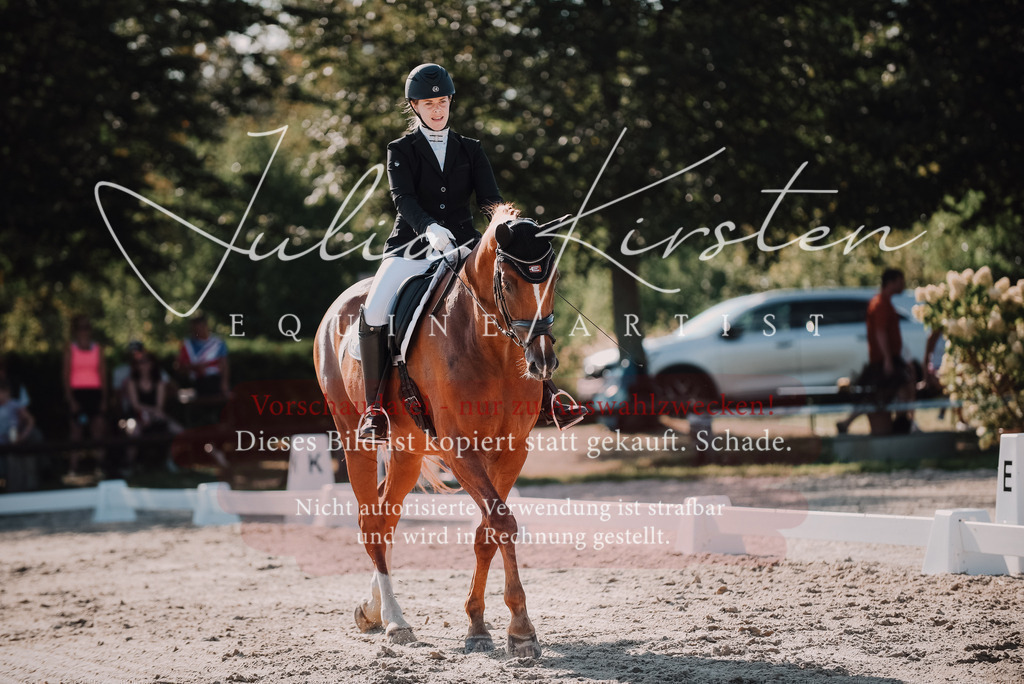 DSC_0439 | Pferde- und Turnierfotografie in Westsachsen. Pferdeportraits, Auftragszeichnungen und intuitive Kunst.