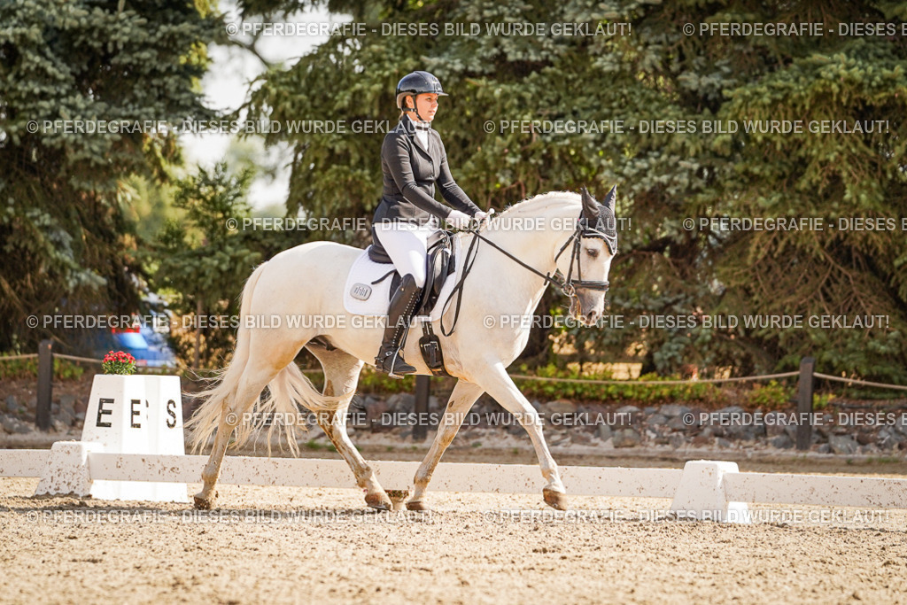 DSC01074 | Pferdegrafie