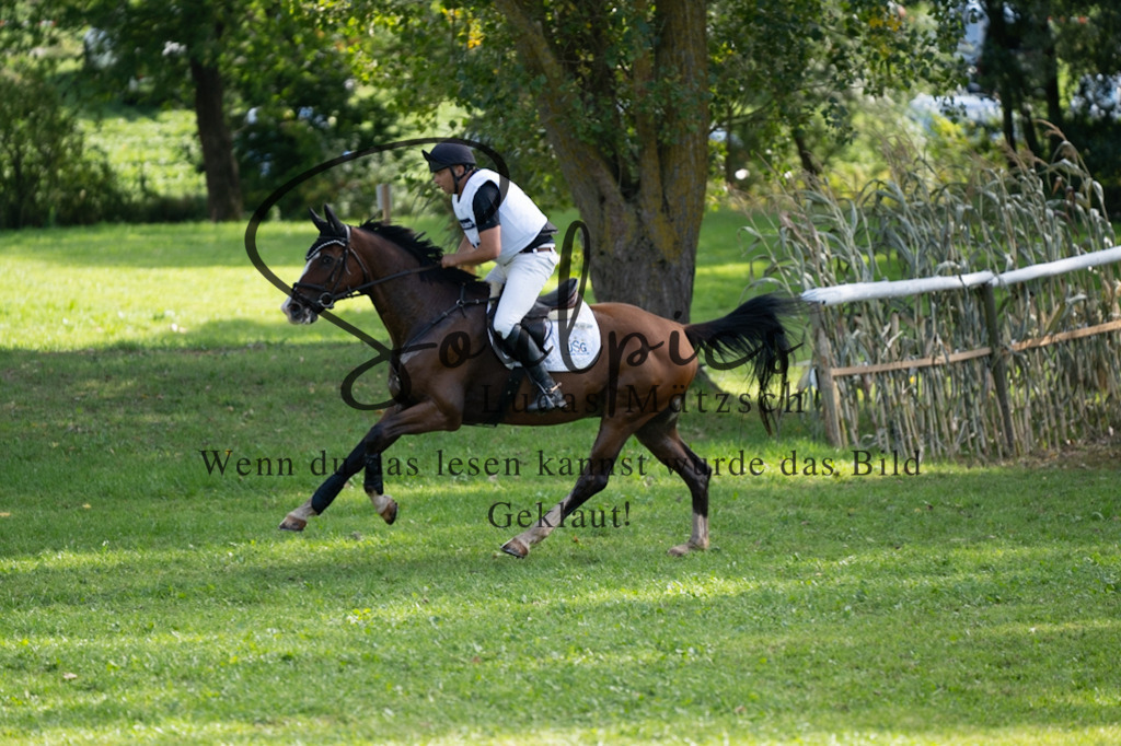 A7V03820 | Pferdefotograf