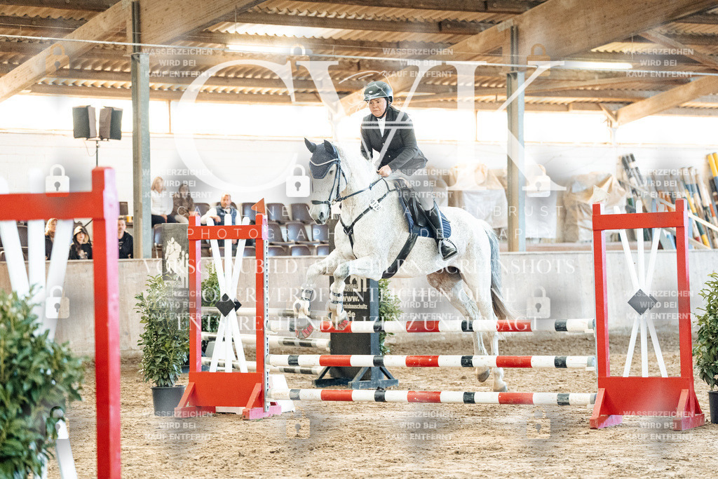 CK904347 | Turnierfotografie Pferdefotografie Trier Rheinland-Pfalz Pferdesport Reitsport Tierfotografie Sportfotografie Pferdevideo Pferdevideografie Equestrianvideography equestrianphotography  - Realized with Pictrs.com