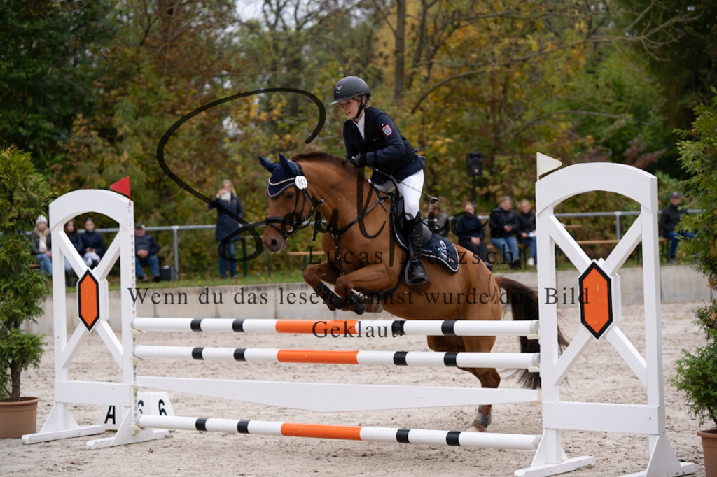 A7V08008 | Pferdefotograf