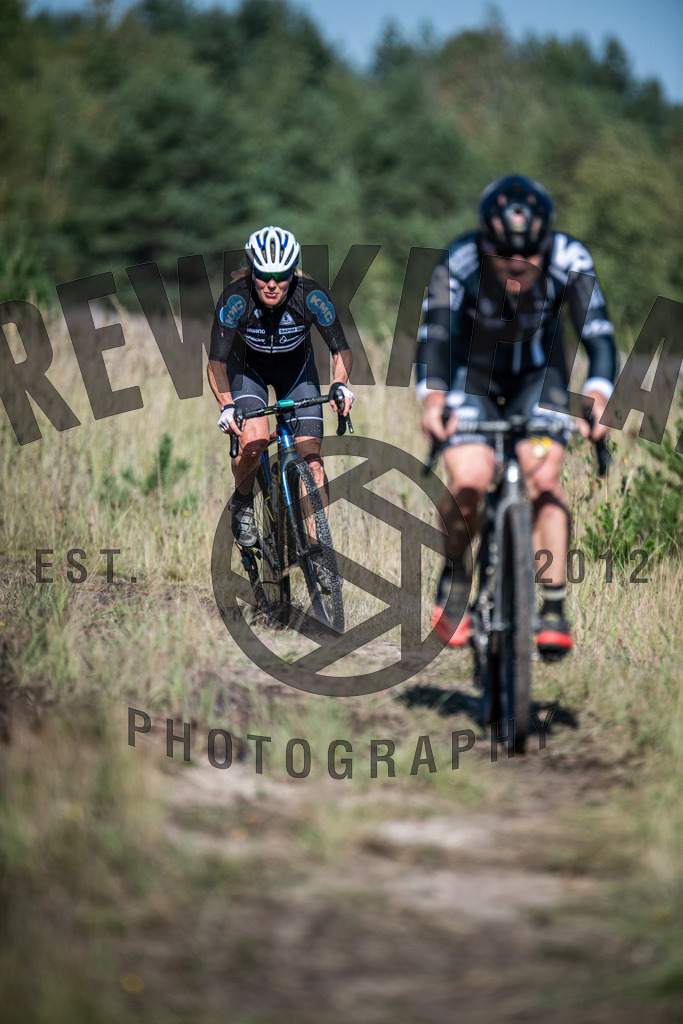 DKP-1904 | Drew Kaplan Photography