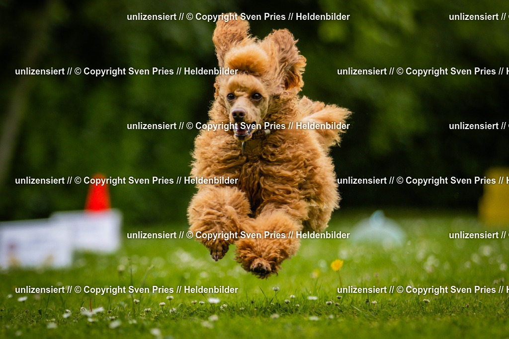 Sven Pries | 2025-05-29 - Pudelrennen KA-Durlach - Realisiert mit Pictrs.com