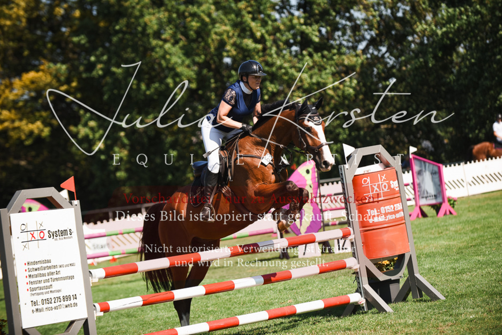 DSC_2794 | Pferde- und Turnierfotografie in Westsachsen. Pferdeportraits, Auftragszeichnungen und intuitive Kunst.