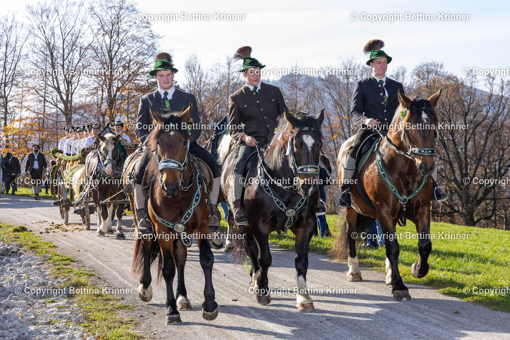 LBT24-1325 | foto-bettina-krinner - Realisiert mit Pictrs.com