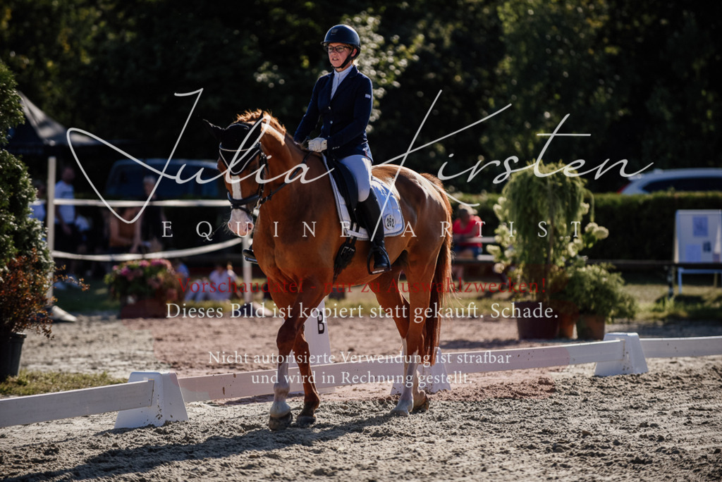 DSC_0471 | Pferde- und Turnierfotografie in Westsachsen. Pferdeportraits, Auftragszeichnungen und intuitive Kunst.